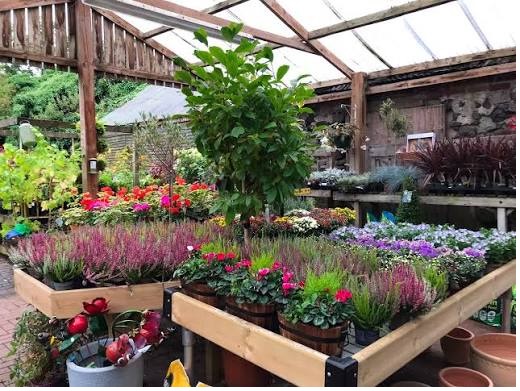 Pot And Planter Store
