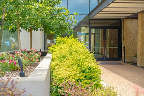 Professional Landscape